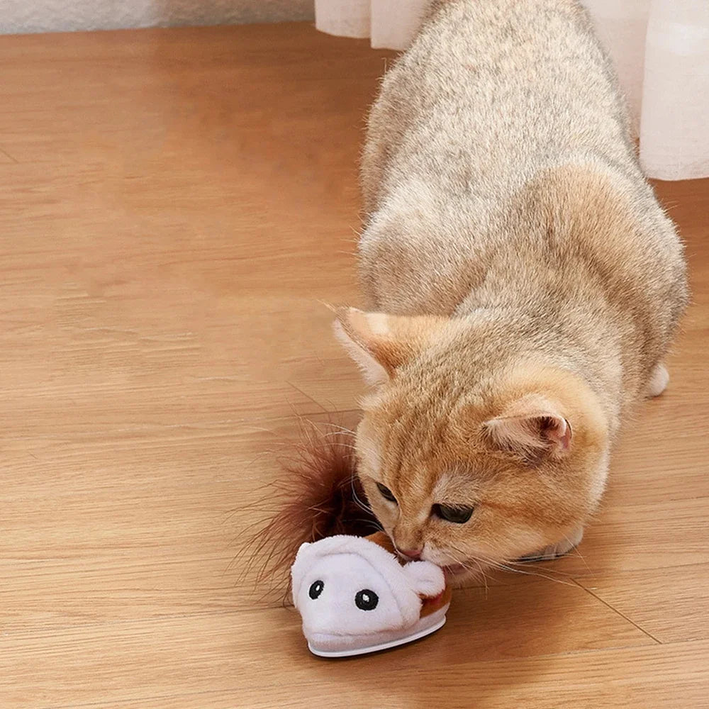 Interactive Running Mouse Cat Teaser Feather Toys Pet Friendly Supplies