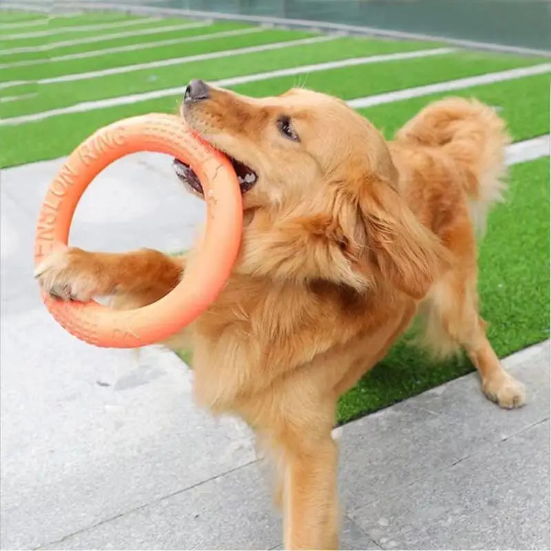 Floating Water Dog Flying Disk Training Ring Pet Friendly Supplies