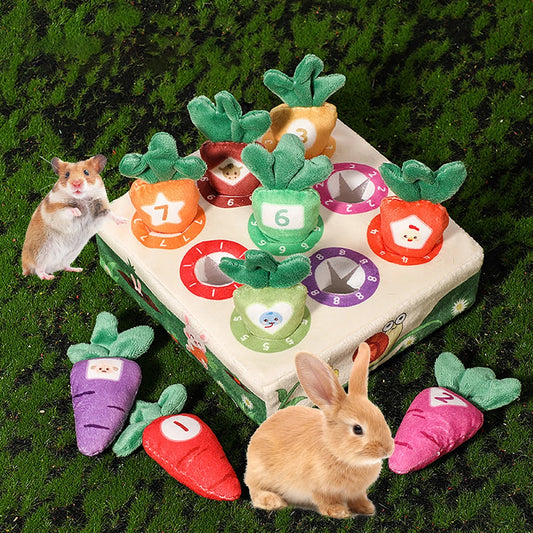 Adorable pets with educational soft toys on artificial grass, showcasing numbered carrots and colorful plush vegetables for an engaging and fun learning environment. Ideal for pet enrichment and children's educational play.