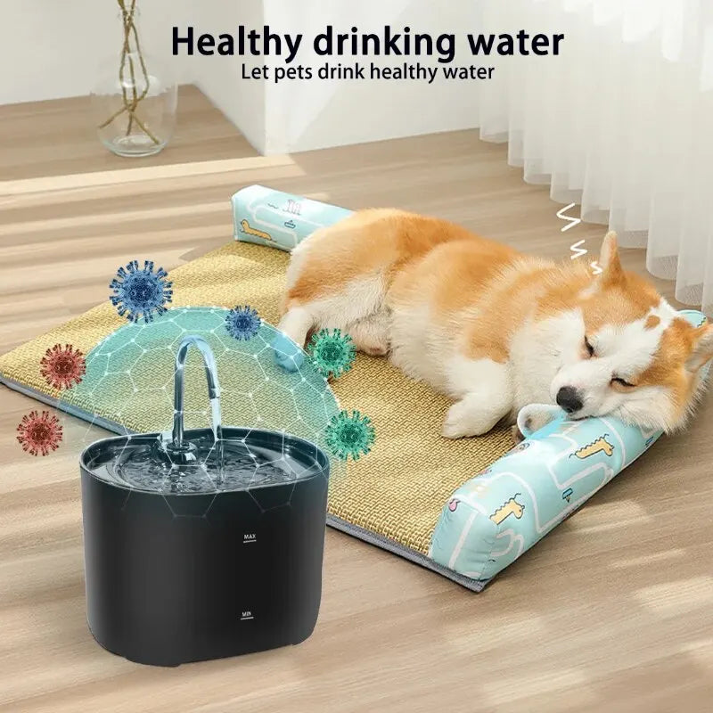 Pet Water Fountain Pet Friendly Supplies