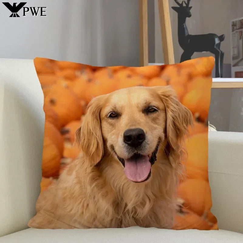 Luxurious Golden Retriever Dog Cover Pet Friendly Supplies