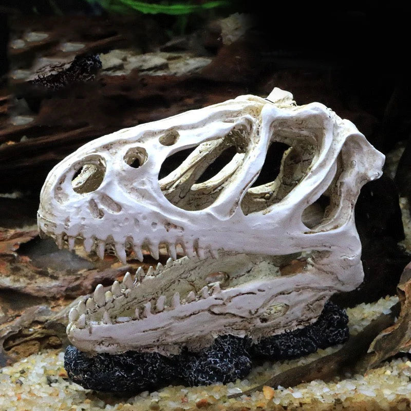 Resin Dinosaur Skull Ornament Fish Tank/Reptile Pet Friendly Supplies