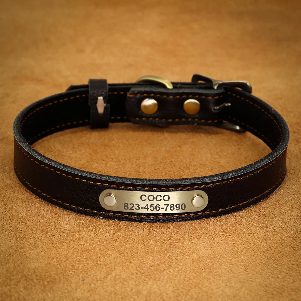 Personalised Leather Puppy Collar for  Dog - Pet Friendly Supplies