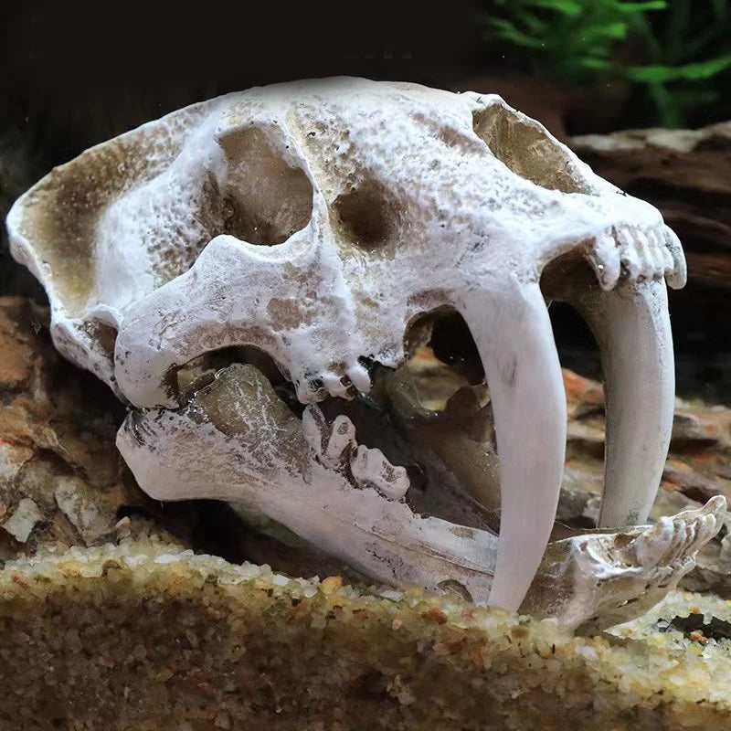 Resin Dinosaur Skull Ornament Fish Tank/Reptile Pet Friendly Supplies