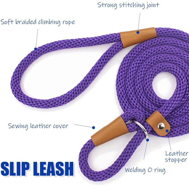 Premium Quality Strong 6 FT Training Rope Slip Leash Pet Friendly Supplies