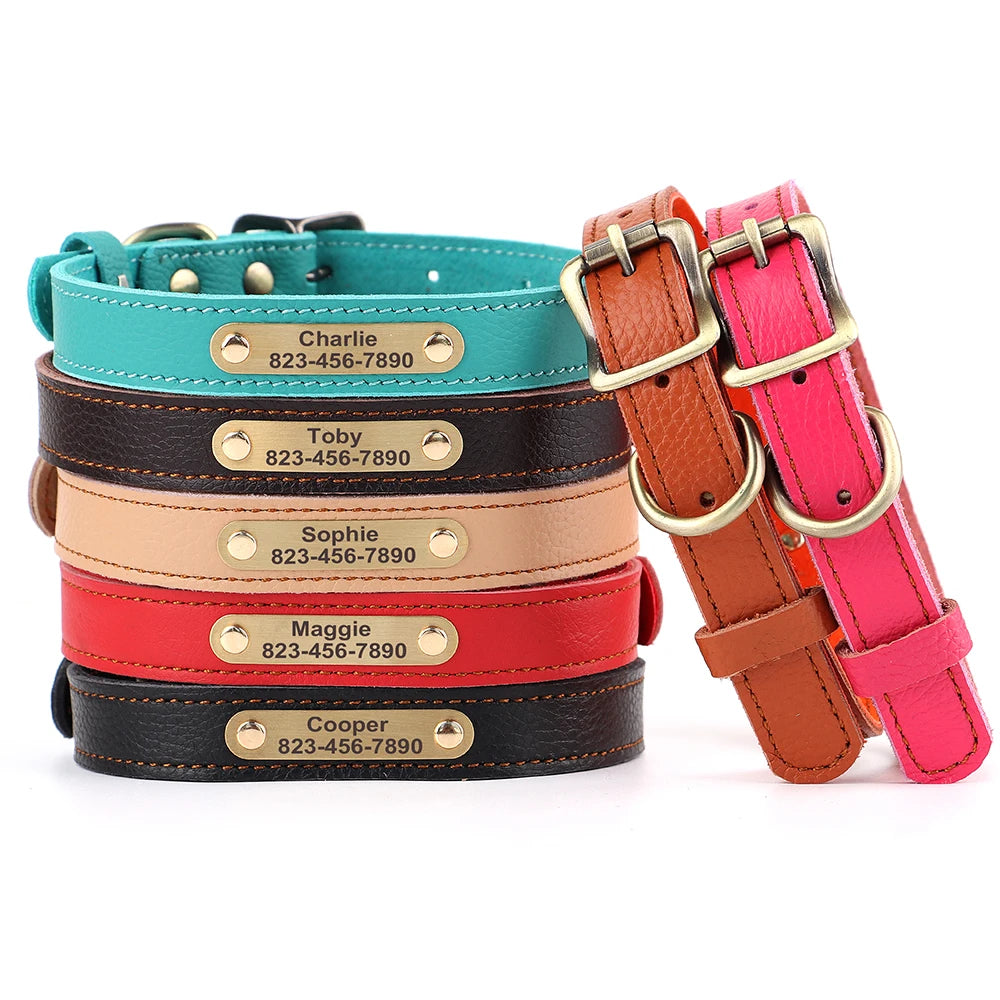 Personalised Leather Puppy Collar for  Dog - Pet Friendly Supplies