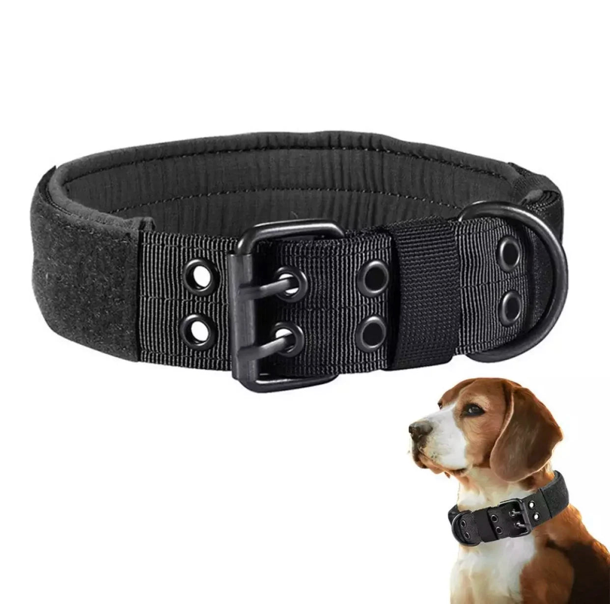 Heavy-duty black dog collar with secure buckle, adjustable, durable, for medium to large dogs, alongside a beagle wearing a similar collar. Ideal for training and safety.