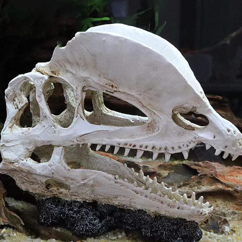 Resin Dinosaur Skull Ornament Fish Tank/Reptile Pet Friendly Supplies