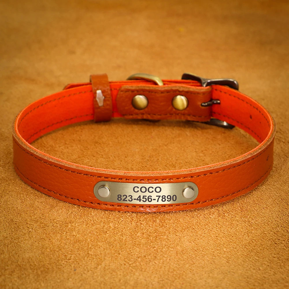 Personalised Leather Puppy Collar for  Dog - Pet Friendly Supplies