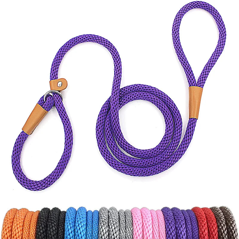 Premium Quality Strong 6 FT Training Rope Slip Leash Pet Friendly Supplies