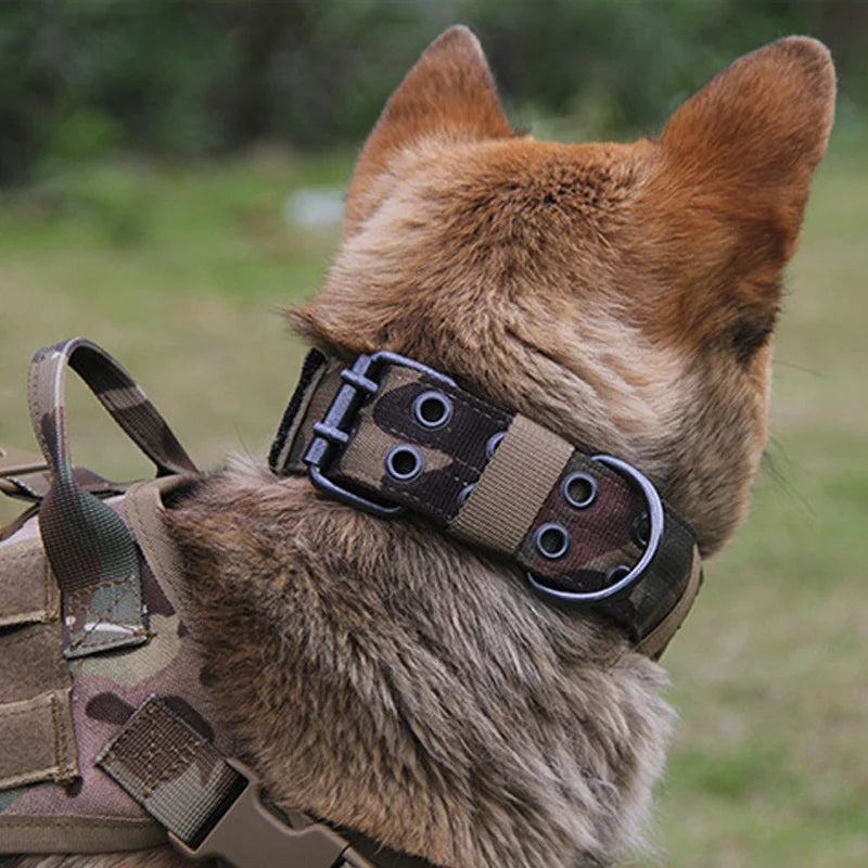 Close-up view of a German Shepherd wearing tactical dog gear with durable harness, ideal for working K9 units, outdoor training activities, and adventure-ready pets.