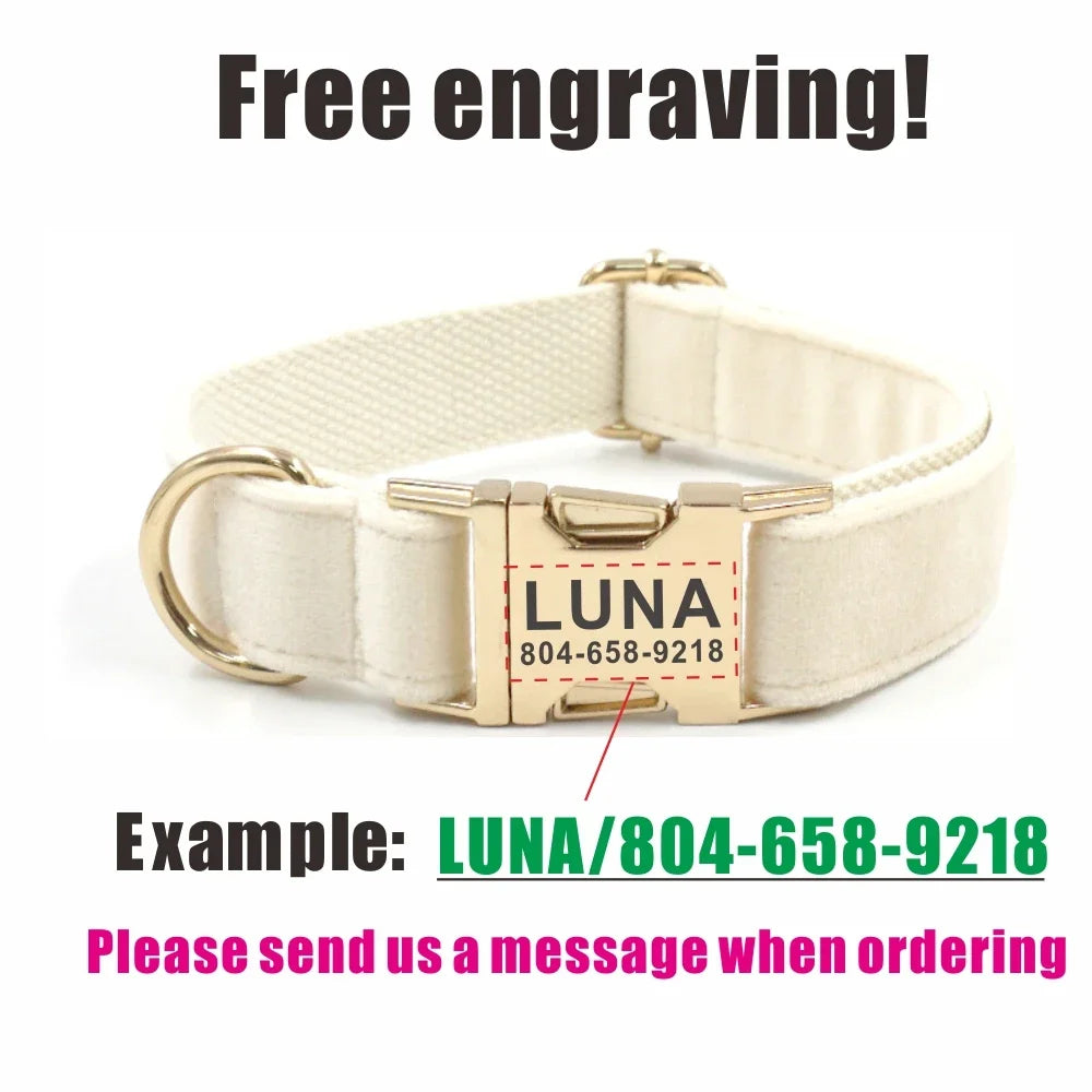 Free Engraved ID Tag With Personalized Dog Collar. - Pet Friendly Supplies