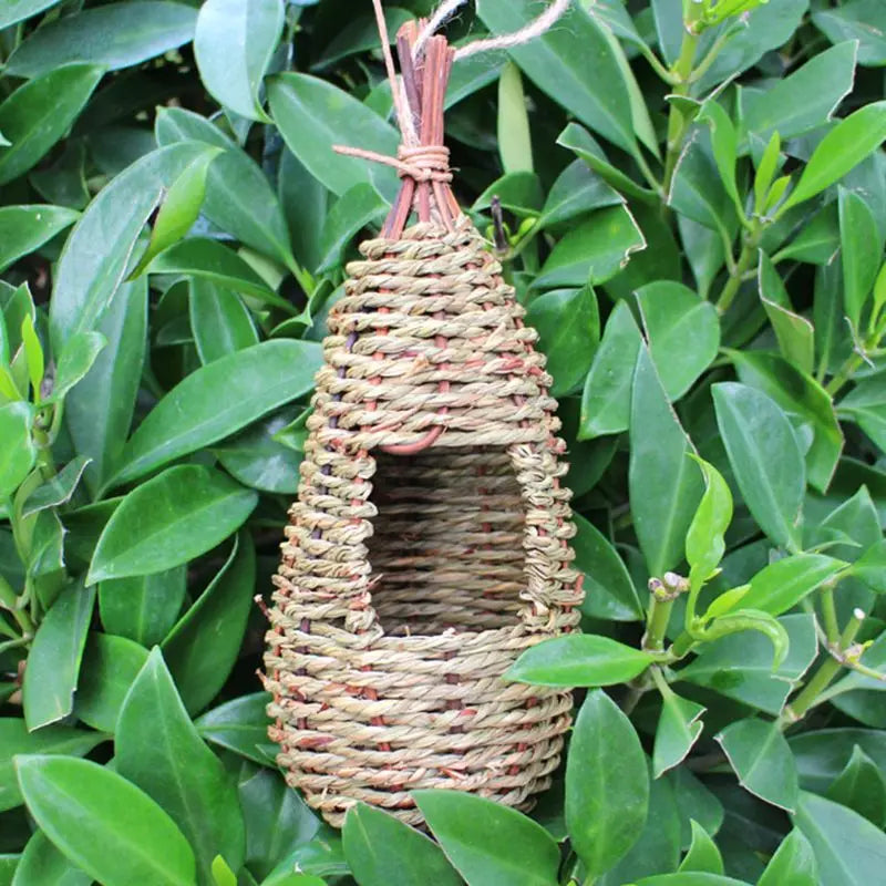 Stunning Natural Grass Birds Nest - Pet Friendly Supplies