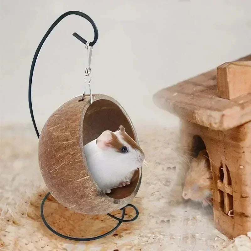 Beautiful Small Animal Coconut Shell Hanging Hammock Pet Friendly Supplies