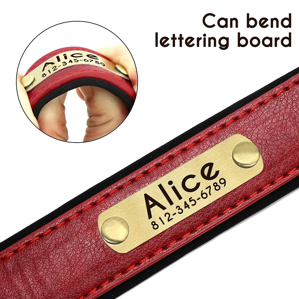 Custom Leather Dog Collar Softly Padded Pet Friendly Supplies