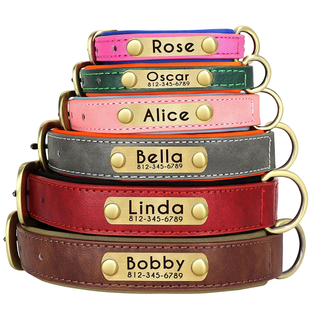 Custom Leather Dog Collar Softly Padded Pet Friendly Supplies