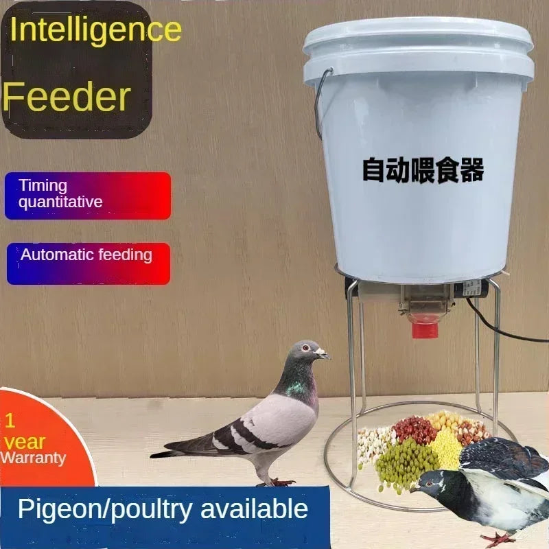 Automatic Chicken Feeder Pigeon Chicken Trough Intelligent Timing - Pet Friendly Supplies