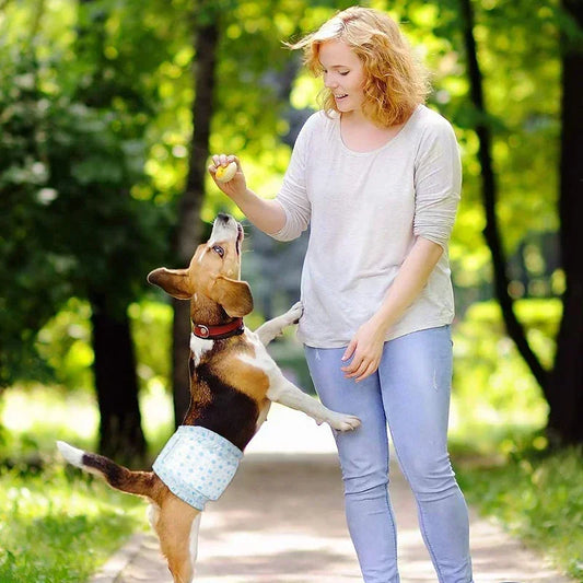 10PCS Super Absorbent Pet Diapers