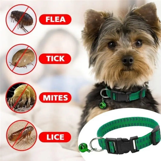 Nylon Adjustable Kill Insect Mosquitoes Insecticidal Dog Collar