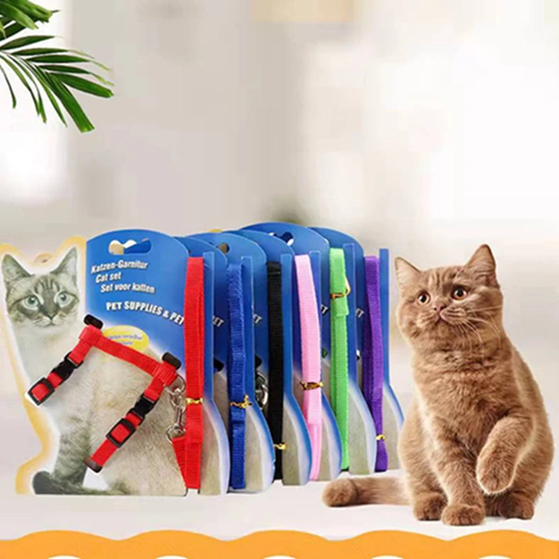 Cat Collar Harness Pet Friendly Supplies