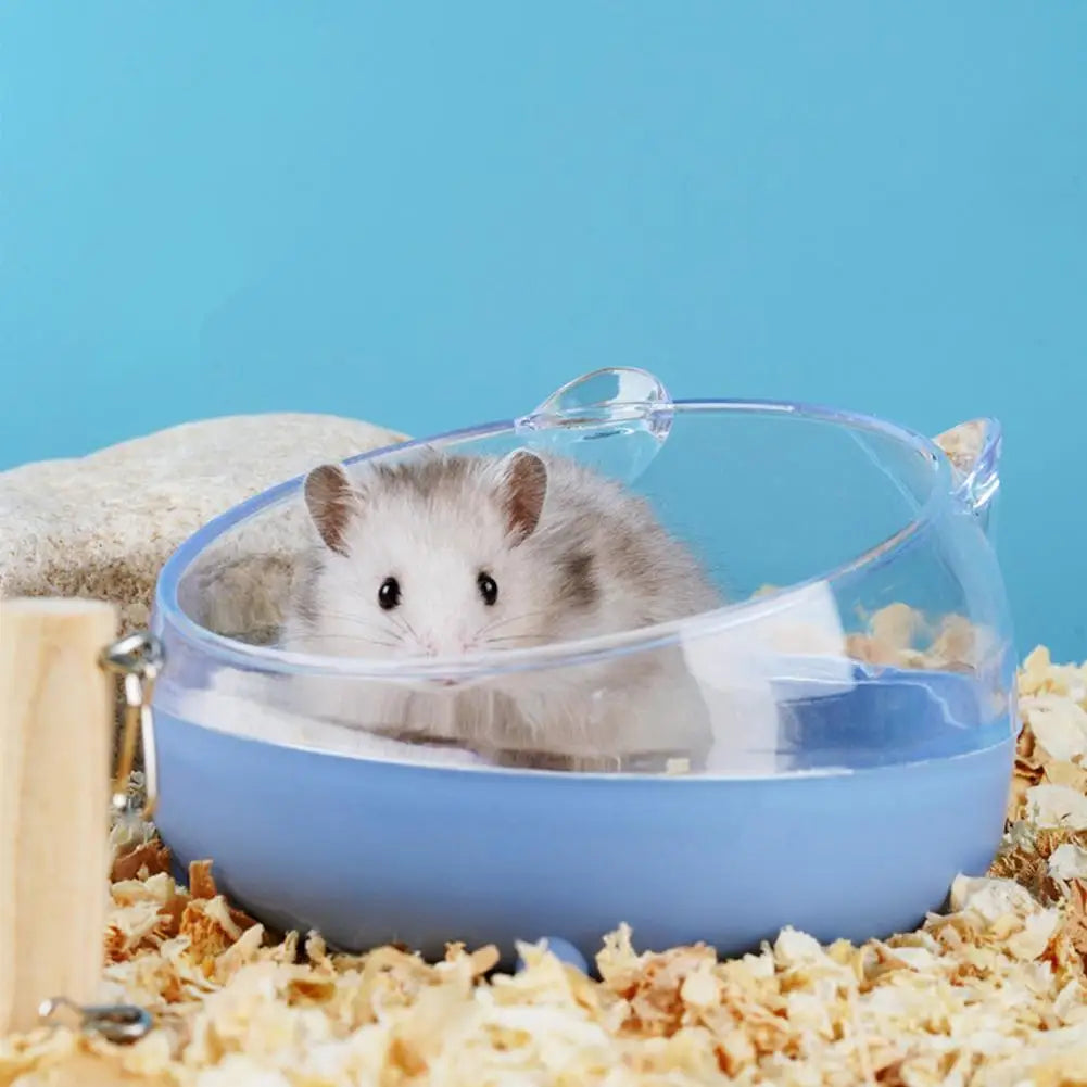 Practical Small Animal Feeding Bowl Pet Friendly Supplies