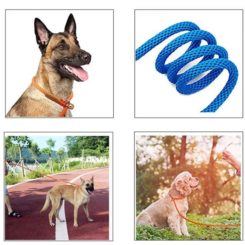 Premium Quality Strong 6 FT Training Rope Slip Leash Pet Friendly Supplies