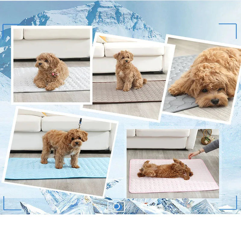 Dog Cooling Summer Pad Pet Friendly Supplies