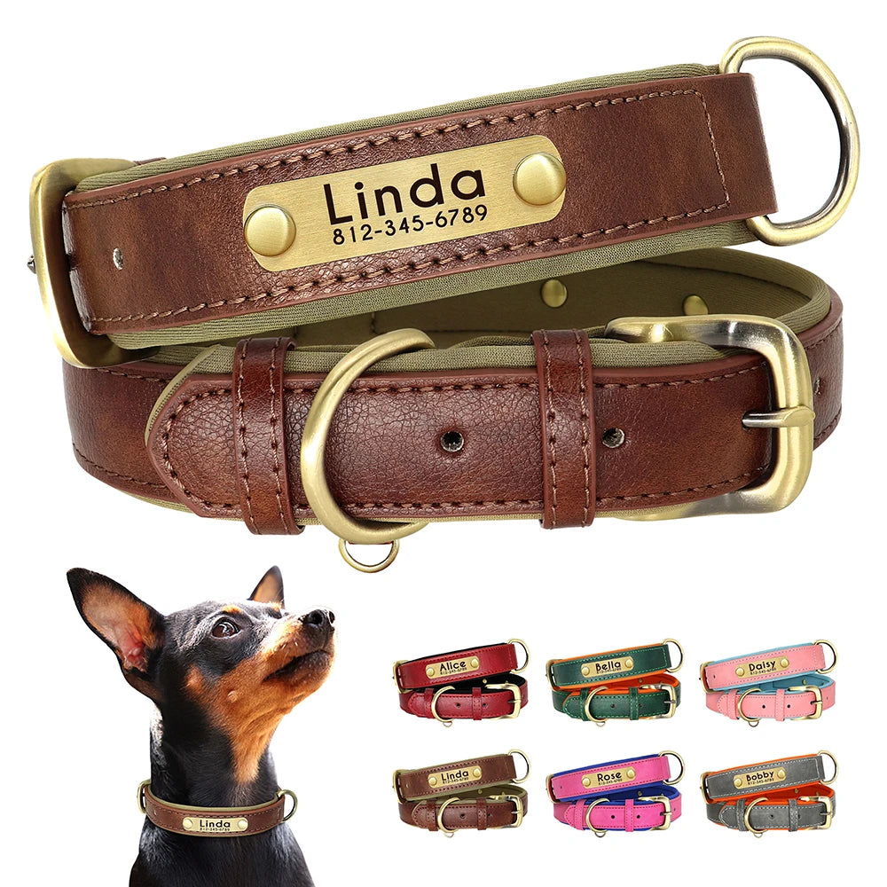 Custom Leather Dog Collar Softly Padded Pet Friendly Supplies