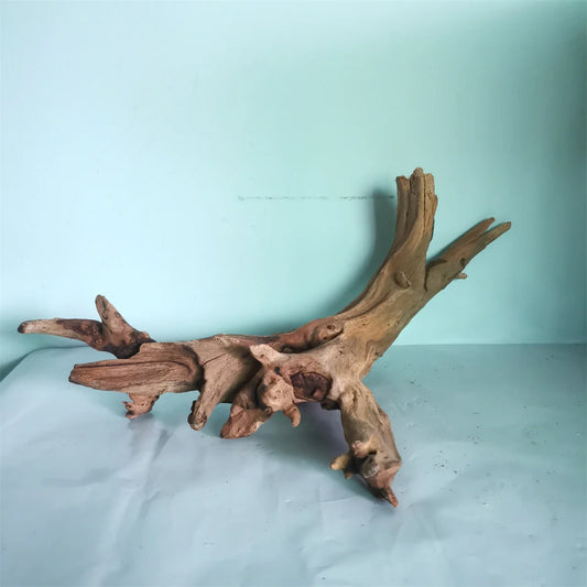 fish tank Natural True Driftwood decoration