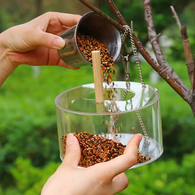 Hanging Acrylic Bird Feeder Food Box Anti-scatter In Two Designs - Pet Friendly Supplies