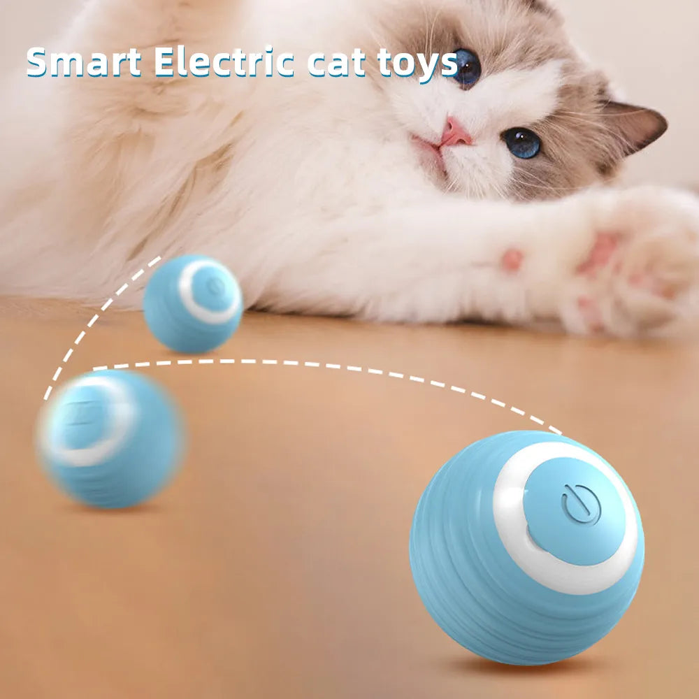 Cat Interactive Ball Pet Friendly Supplies