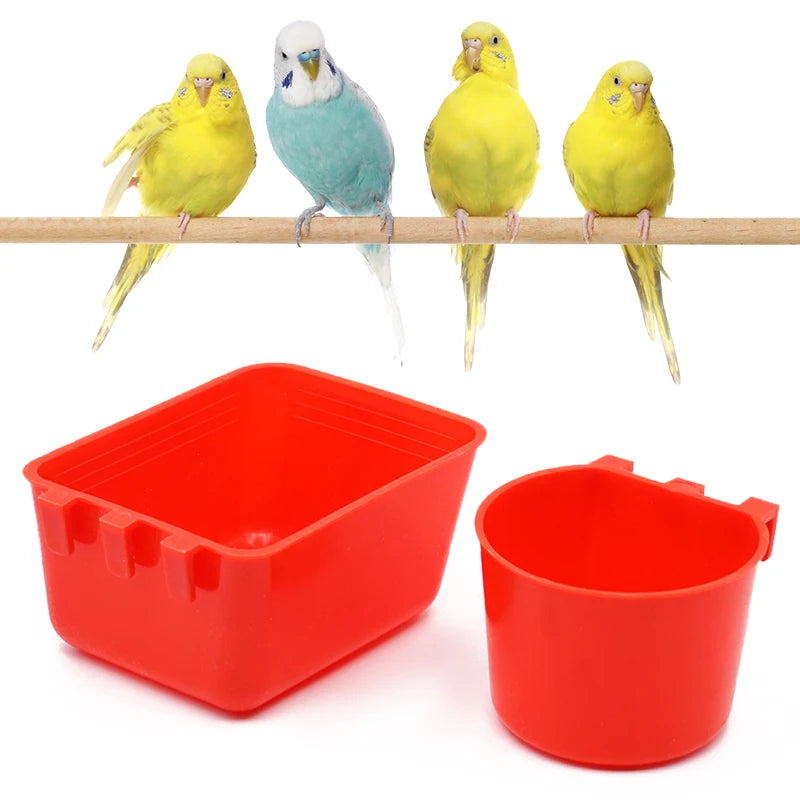 Bird Feeder And Drinking Water Bowl Pet Friendly Supplies