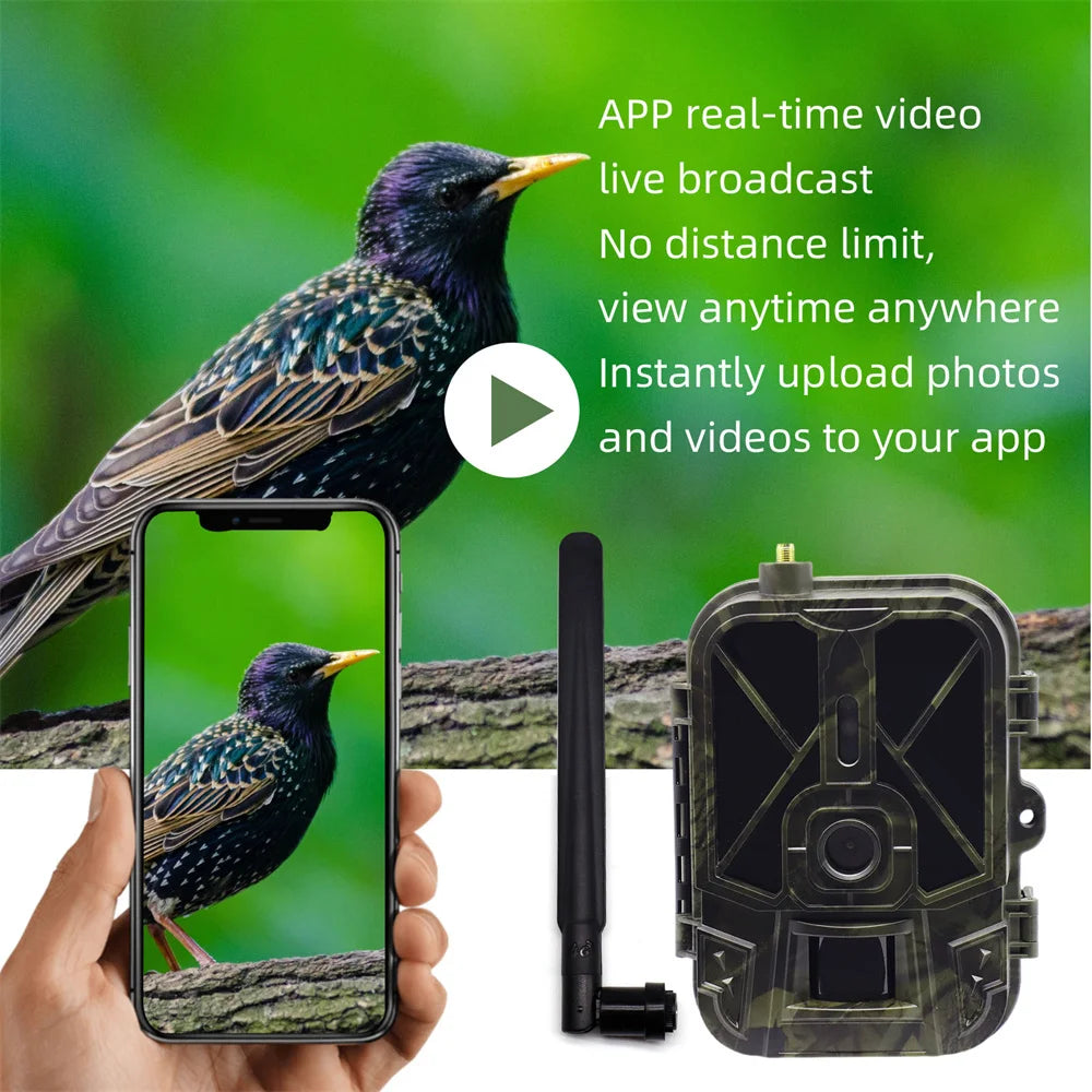 4G HD LIVE Video Lithium Battery Cellular Trail Camera 50MP 4K Wireless Game APP Cloud Service Waterproof IP66 Wildlife Cam - Pet Friendly Supplies