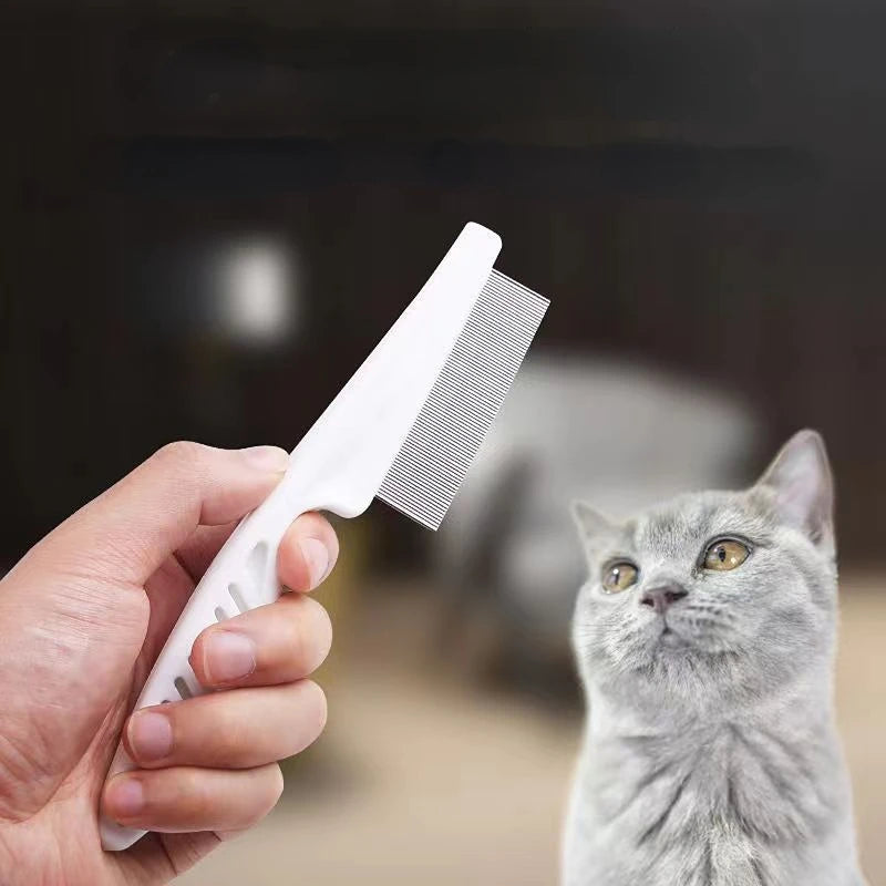 Close-up of a pet grooming tool, a fine-toothed white flea comb, held near a curious gray cat, illustrating essential cat care accessories.