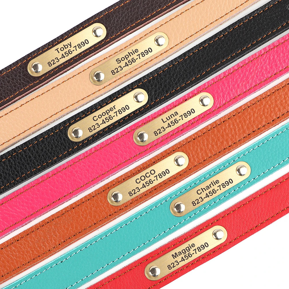 Personalised Leather Puppy Collar for  Dog - Pet Friendly Supplies