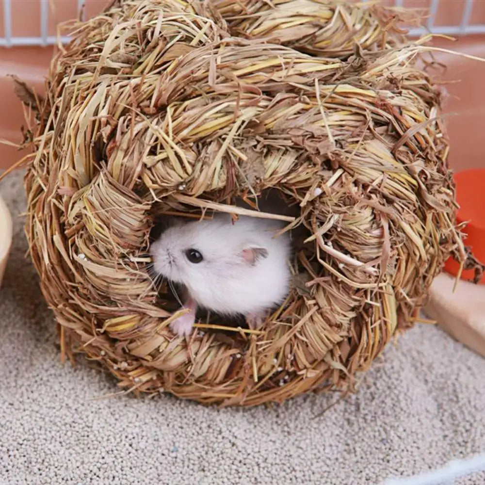 Natural Grass Nest Small Animal Pet Friendly Supplies