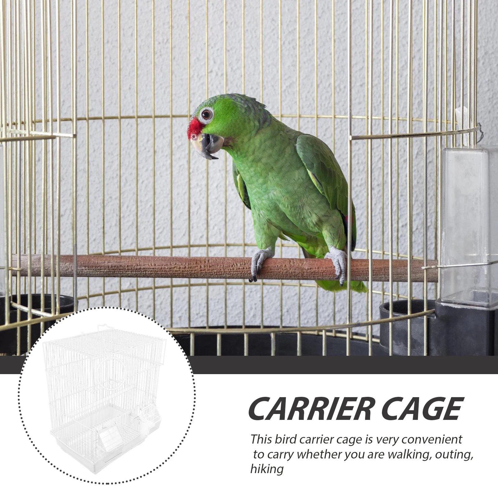 Beautiful Bird Cage Pet Friendly Supplies