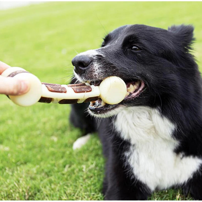 Delicious BenePaw Beef Flavored Chew Bone - Pet Friendly Supplies