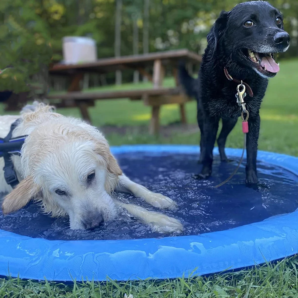 Summer Pet Inflatable Swimming Pool With Water Sprinkler Pet Friendly Supplies