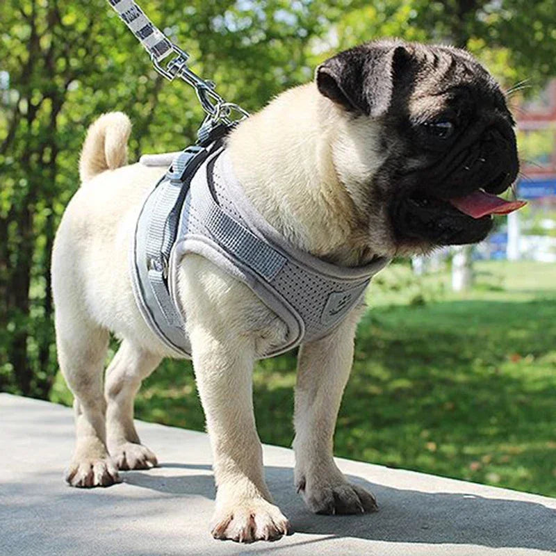 Adjustable Vest Dog Harness Pet Friendly Supplies