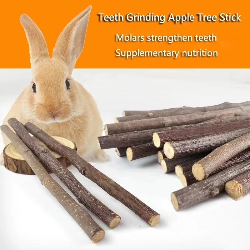 Teeth Grinding Apple Tree Stick Pet Friendly Supplies