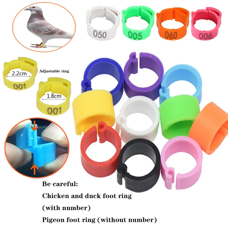 Chicken Foot Rings Label Clasp Plastic Adjustable Poultry Leg Snap Ratchet Clip - Pet Friendly Supplies