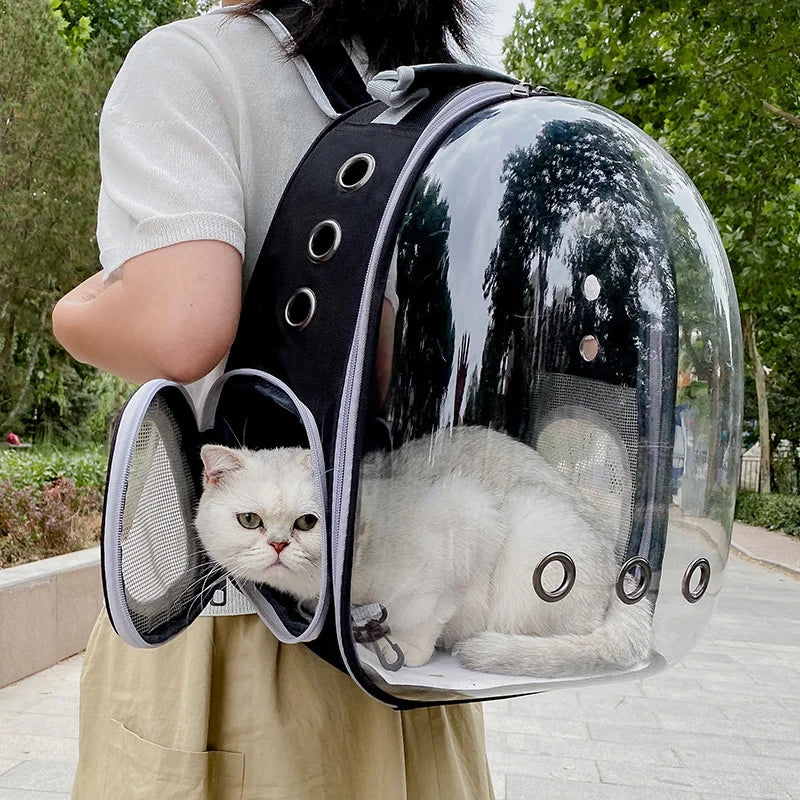 Cat Transparent Backpack Pet Friendly Supplies