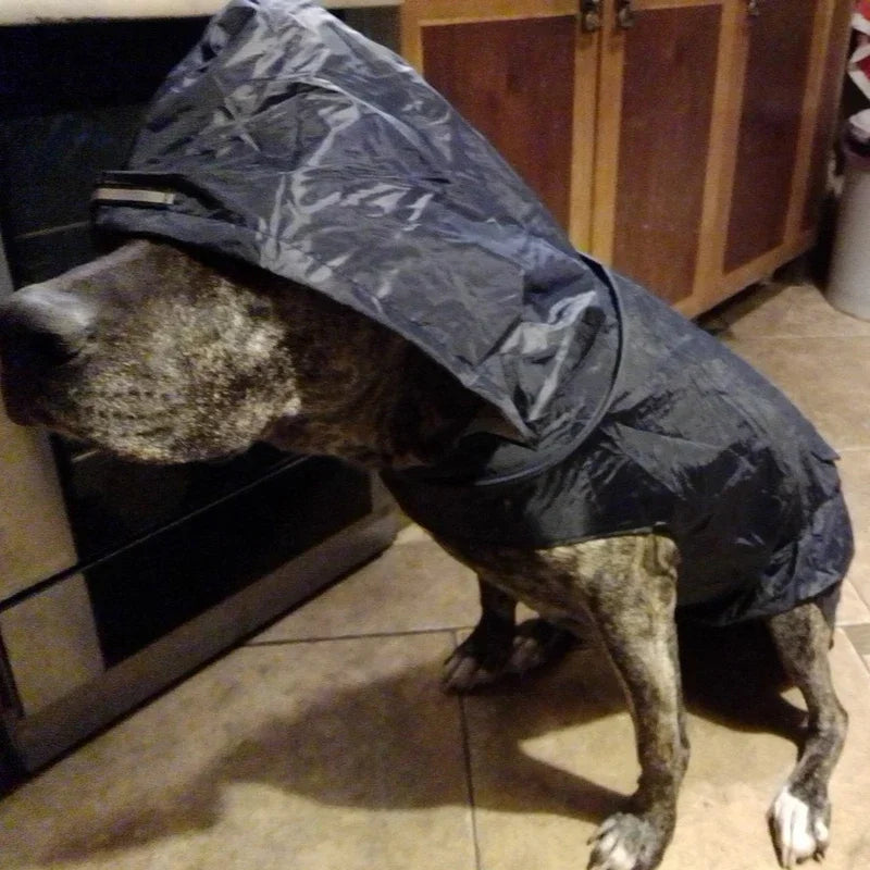 Waterproof Hoodie Dog Raincoat Pet Friendly Supplies