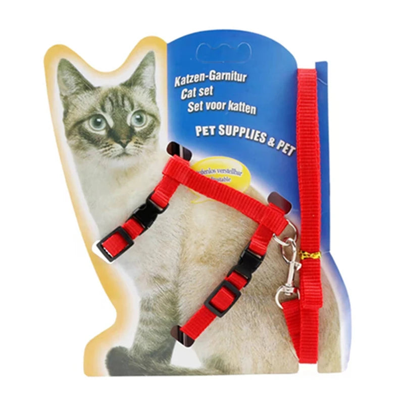 Cat Collar Harness Pet Friendly Supplies