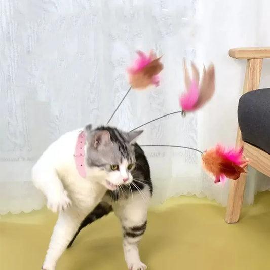 Interactive Cat Toys