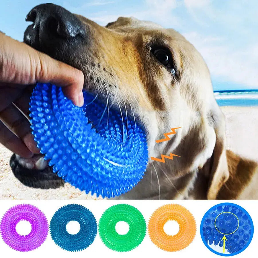 Squeaky Molar puppy Teething Ring - Pet Friendly Supplies