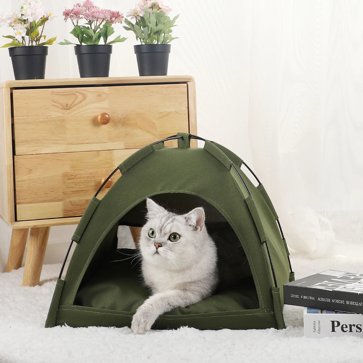 Clamshell Kitten Tents Bed Pet Friendly Supplies