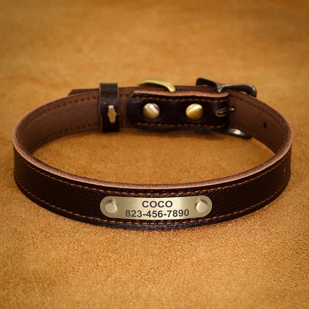 Personalised Leather Puppy Collar for  Dog - Pet Friendly Supplies