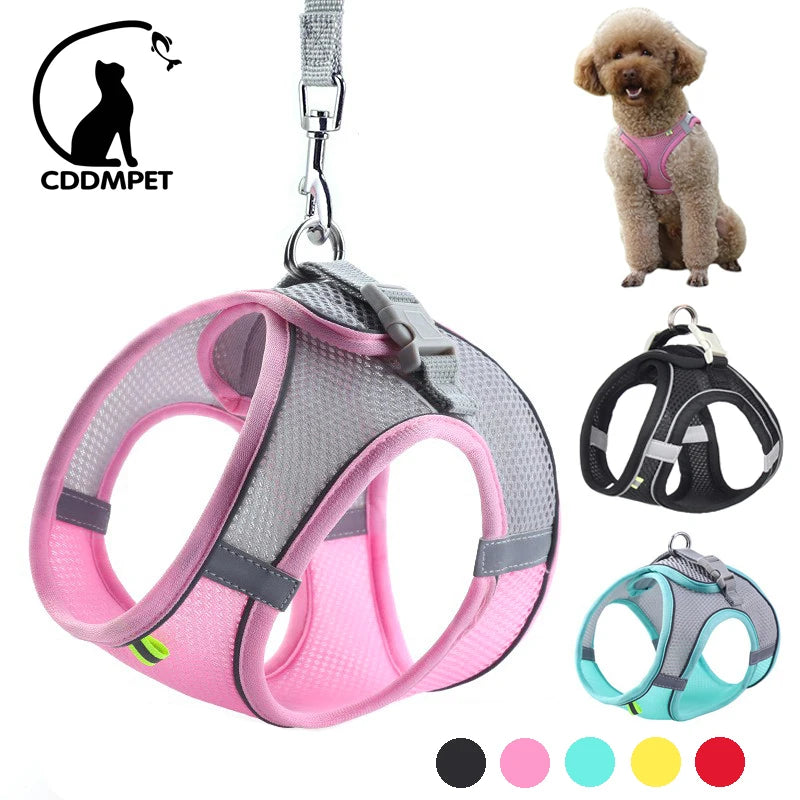 Dog Harness Leash Set Pet Friendly Supplies